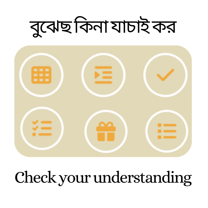 Check Understanding